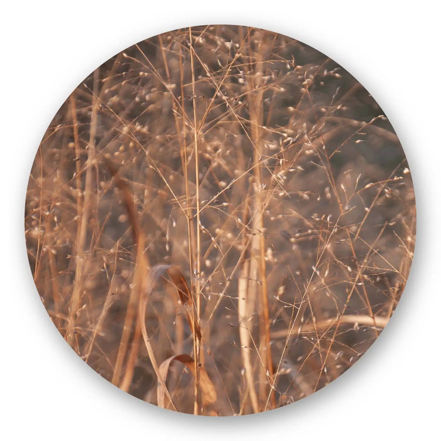 Brown Reed Round