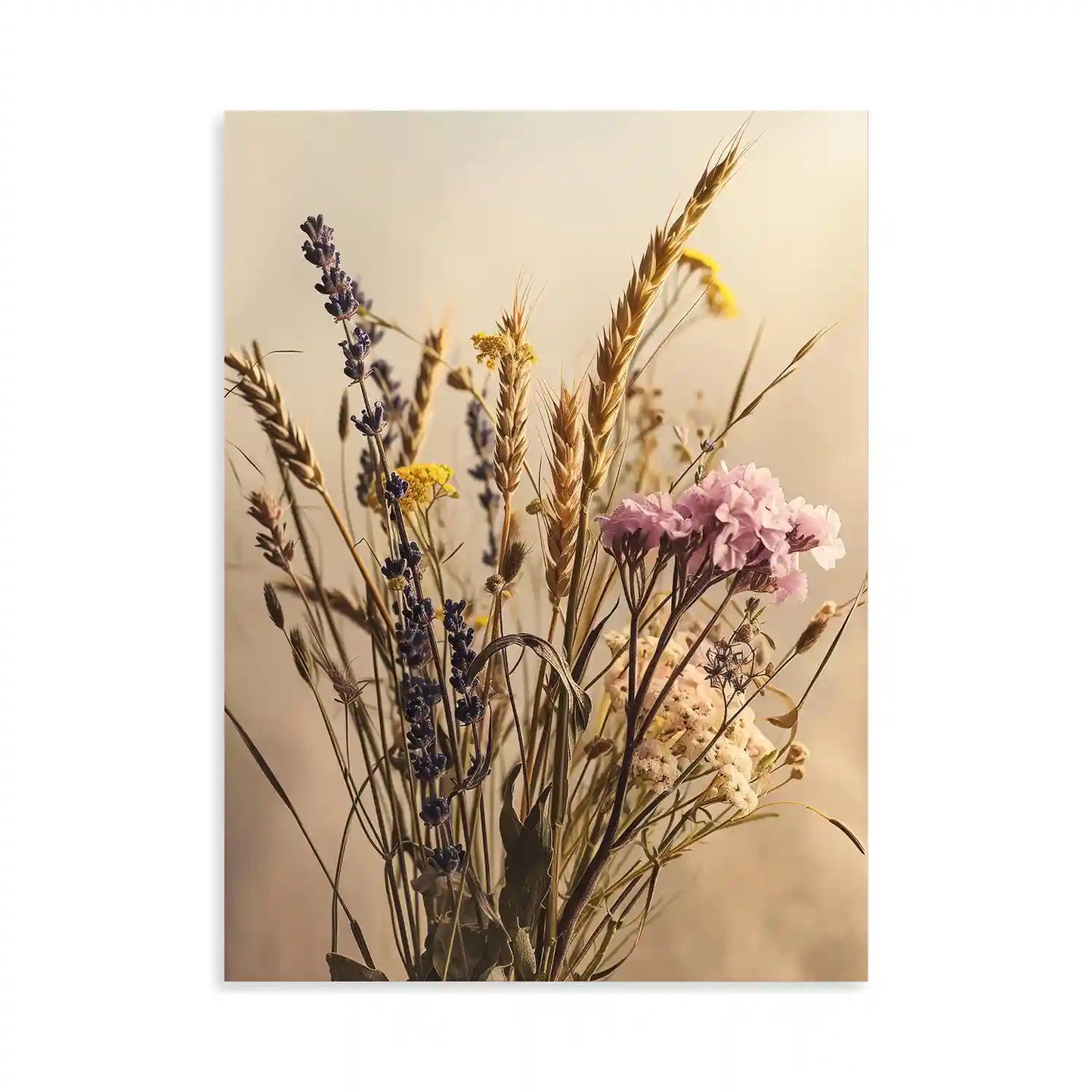 Serene Dried Flowers