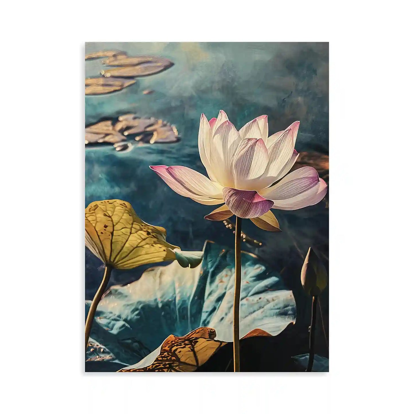 Soft Pink Lotus