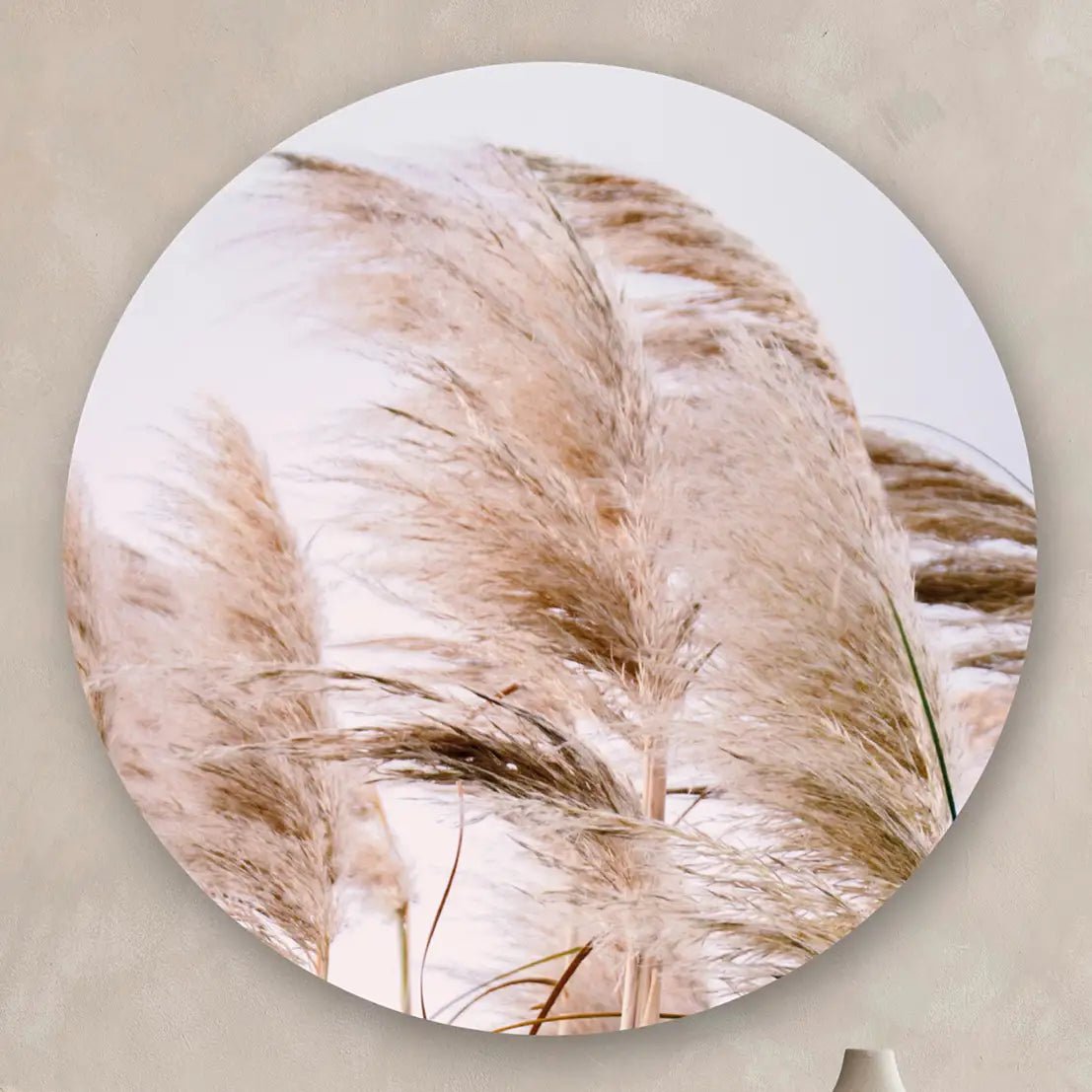 Pampas Grass No2 Round